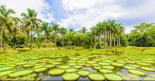 西双版纳景点、门票大全