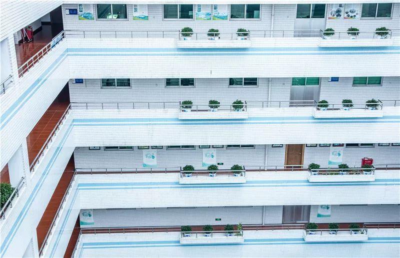 深职院在全世界排多少名,深职院全国最强大专