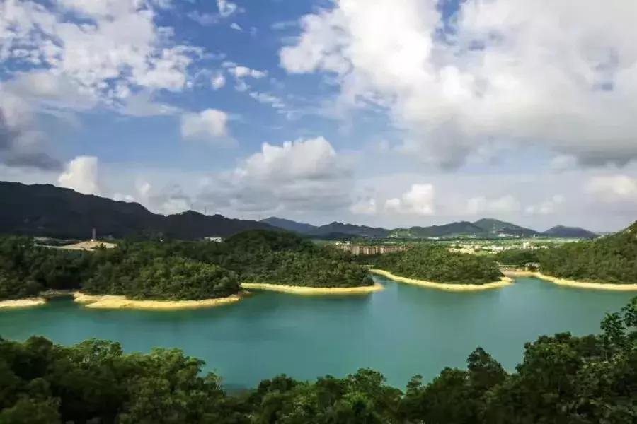 珠海冬季风景,南方冬天自然美景珠海