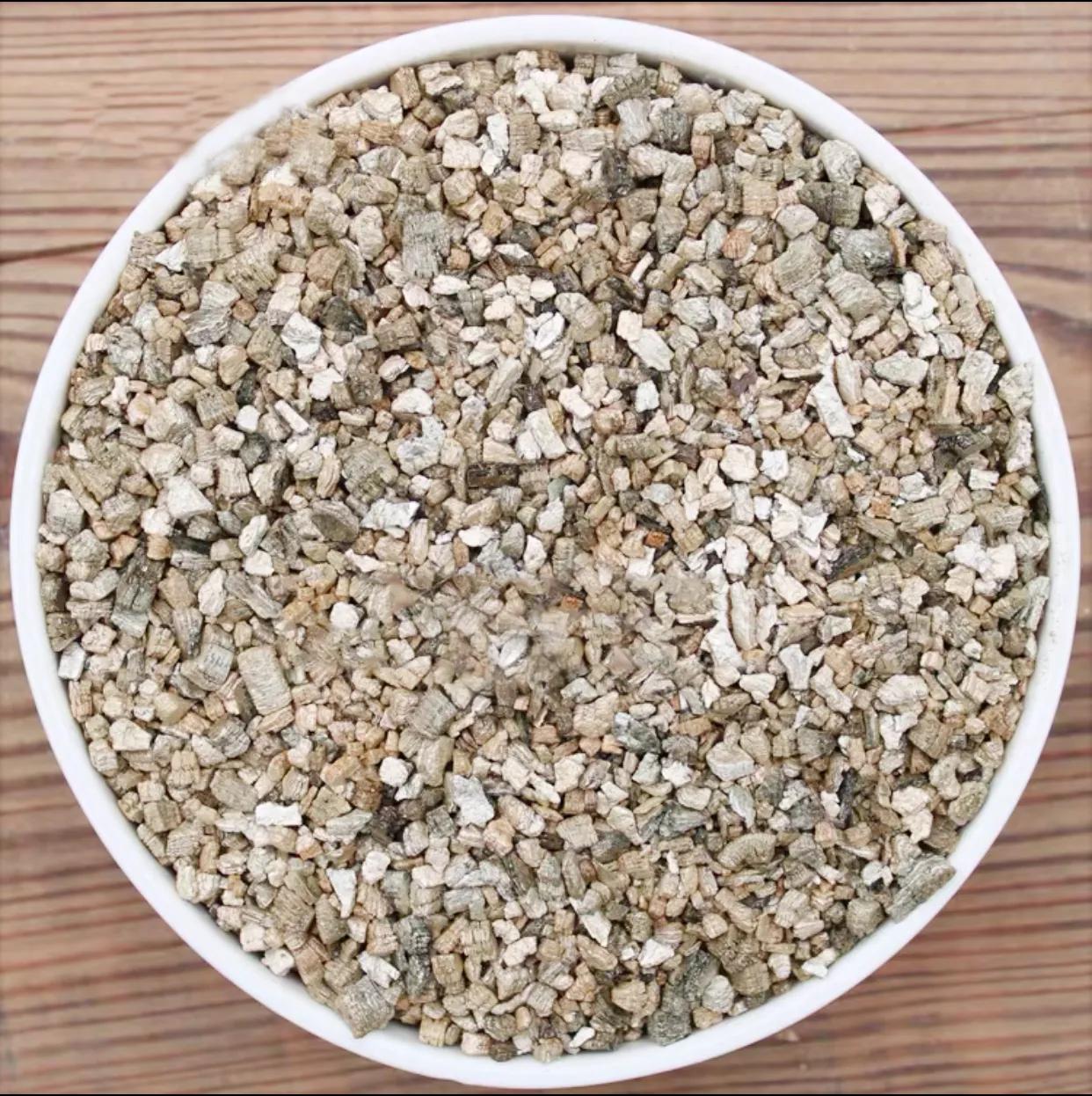 黄缘龟蛋孵化多久才能出来,金钱龟龟蛋孵化全过程