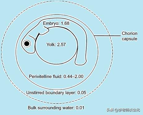尿素和尿素氮的转化,尿素循环途径的障碍