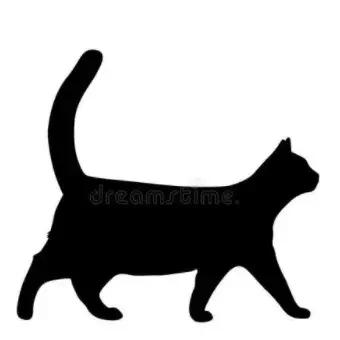 北京海淀区新建的公园,海淀新开放公园