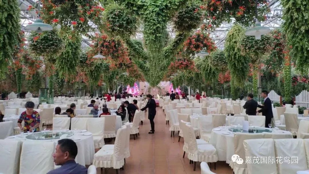 江阴嘉茂国际花鸟园,江阴嘉茂国际花鸟园什么时候再开