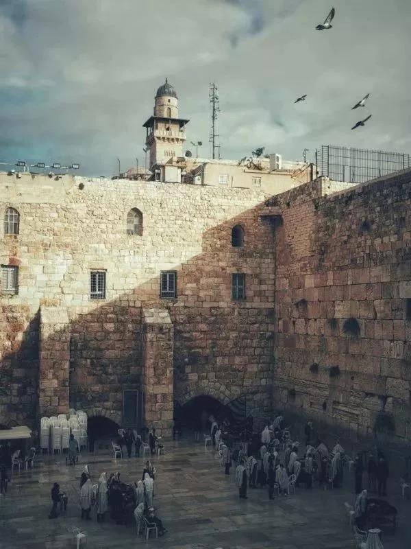 赞别人拍的照片,你用手机拍过哪些最美的照片