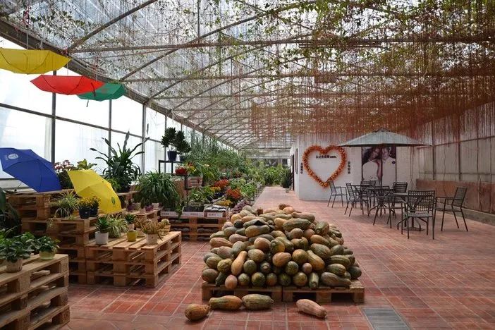 惠州候鸟水榕庄度假酒店攻略,惠州水榕庄waterlife别墅优惠团购