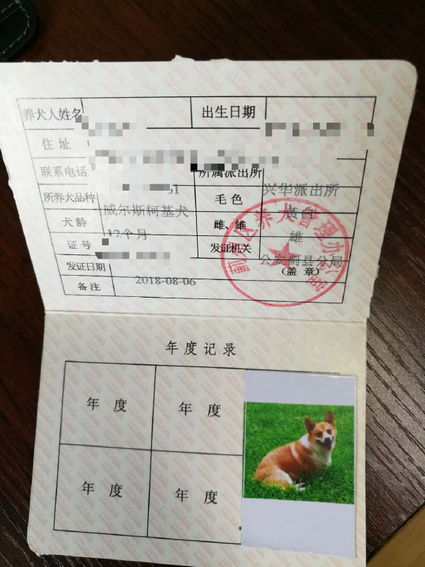 社区办理狗证需要什么手续,办狗证工作好吗