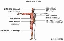 爱美客玻尿酸一年产值,爱美客玻尿酸货源