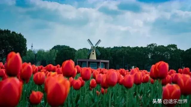 苏州周边自驾游最佳景点,苏州火车站周边景点一日游