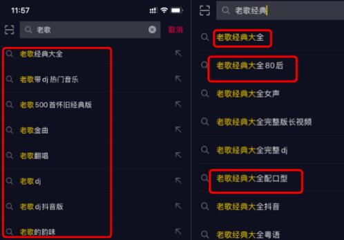 揭秘为什么要做抖音seo搜索排名,抖音seo关键词排名技术