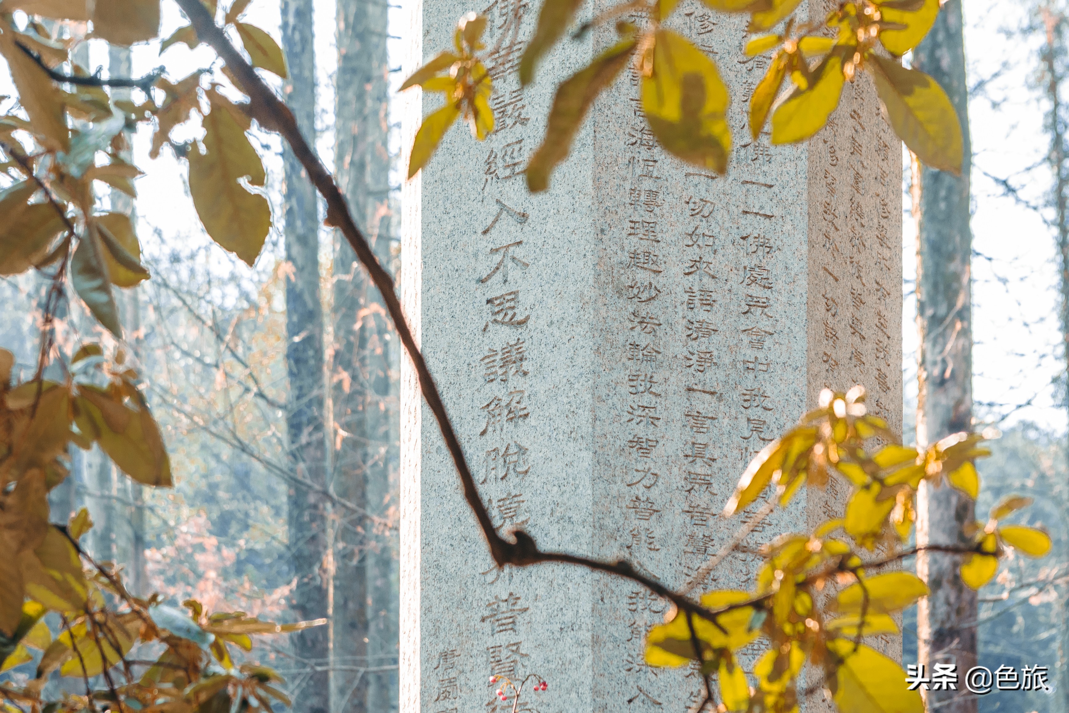 逆水寒游历虎跑梦泉怎么出葫芦,杭州游玩虎跑泉