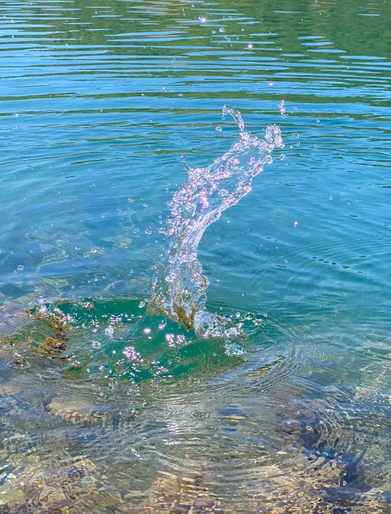 泸沽湖感受不一样的柔情,摩梭人的天堂泸沽湖感悟