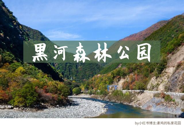 西安景点免费开放最新通知,西安秦岭自驾一日游免费景点