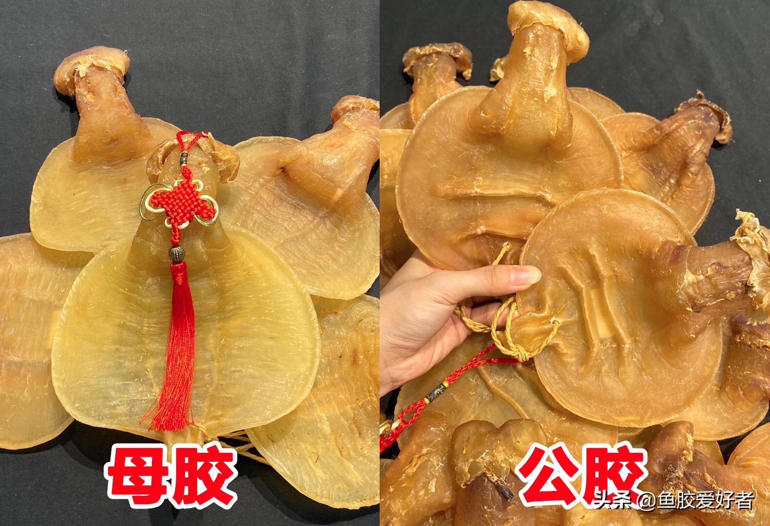 赤嘴鳘鱼胶颜色深好还是浅好,赤嘴鳘鱼胶有哪些种类