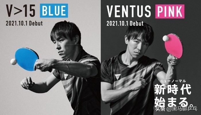 蝴蝶水谷隼底板多少钱,水谷隼乒乓配置