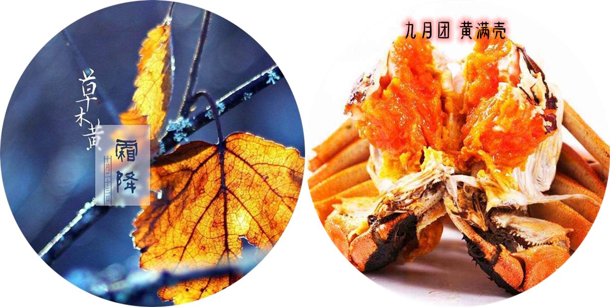 阳澄湖大闸蟹什么时间吃最合适,阳澄湖大闸蟹啥时候吃最好
