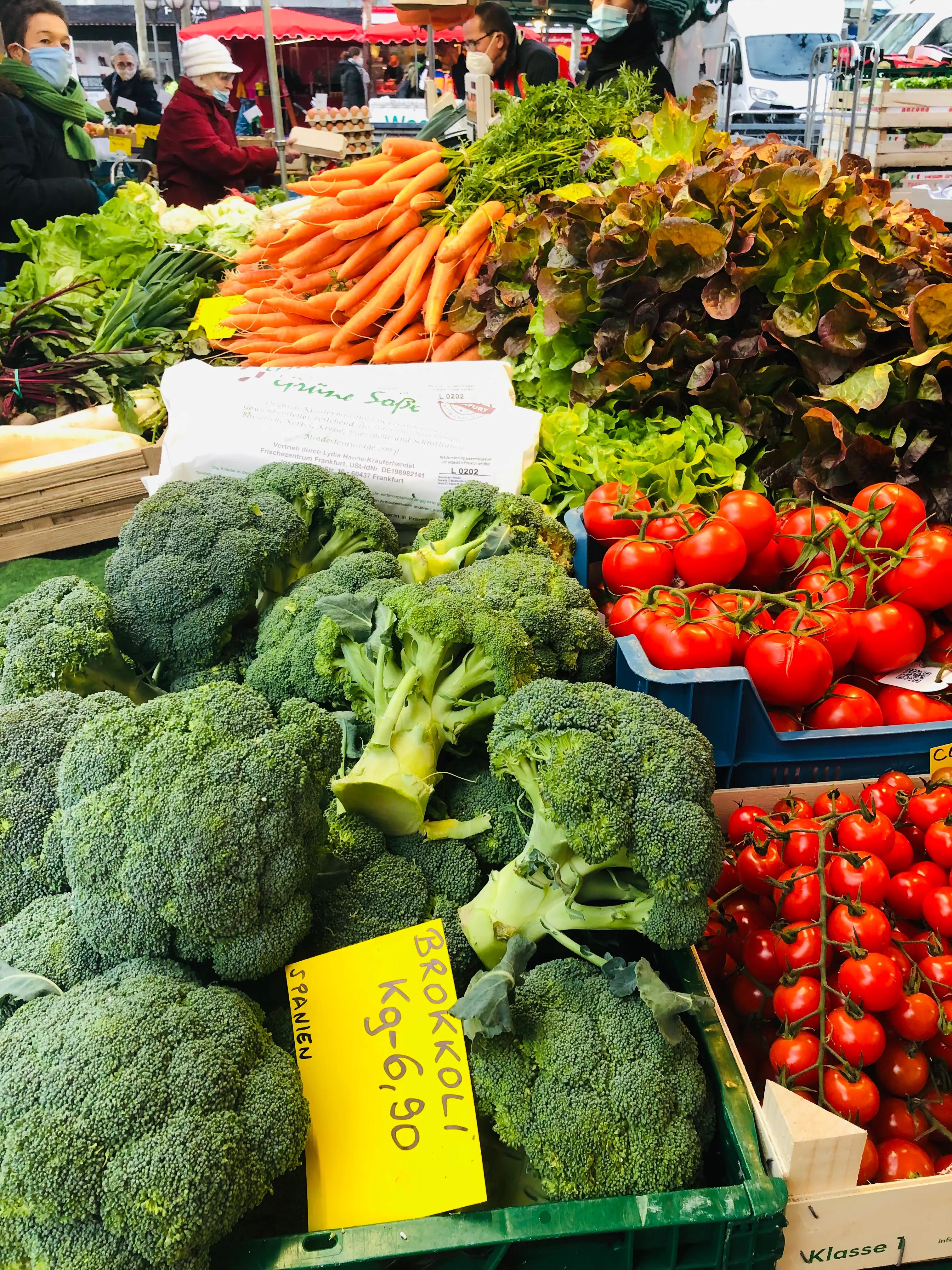 德国双元制职业教育难度大吗,出国德国双元制职业教育真实情况