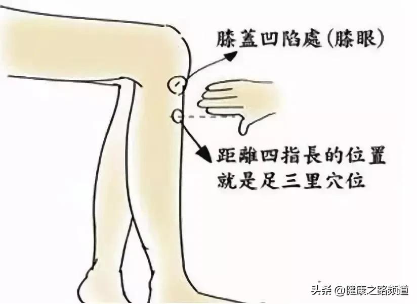 失眠多梦便秘偏方,牙疼大便秘结失眠吃啥药