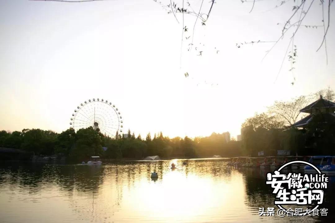 2020年,在这50个地方遇见不一样的合肥