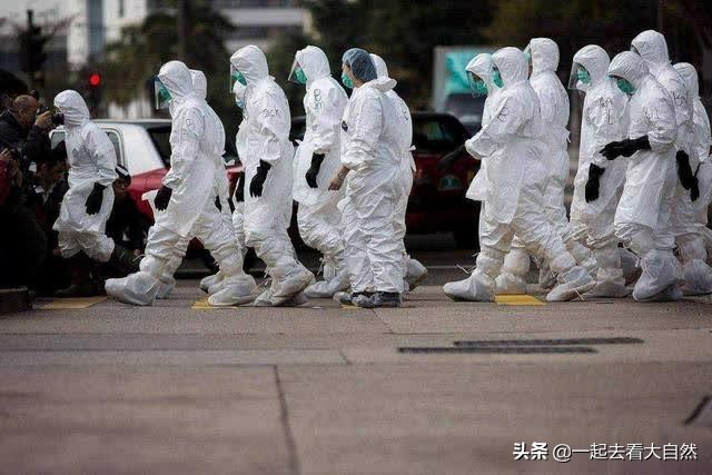 深圳新型冠状病毒源头,台湾追溯新型冠状病毒源头