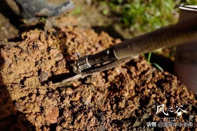 十几年的夫妻感悟,十年的老华人含泪感悟