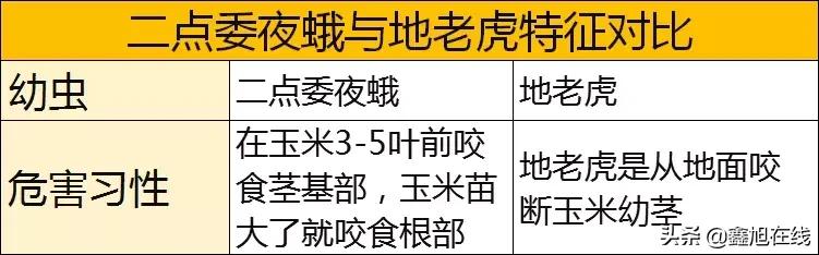 9大肉虫防治，赶紧认清