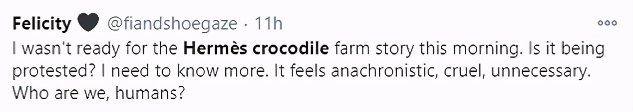 1亿只鳄鱼养殖场,做一个真正的鳄鱼养殖场