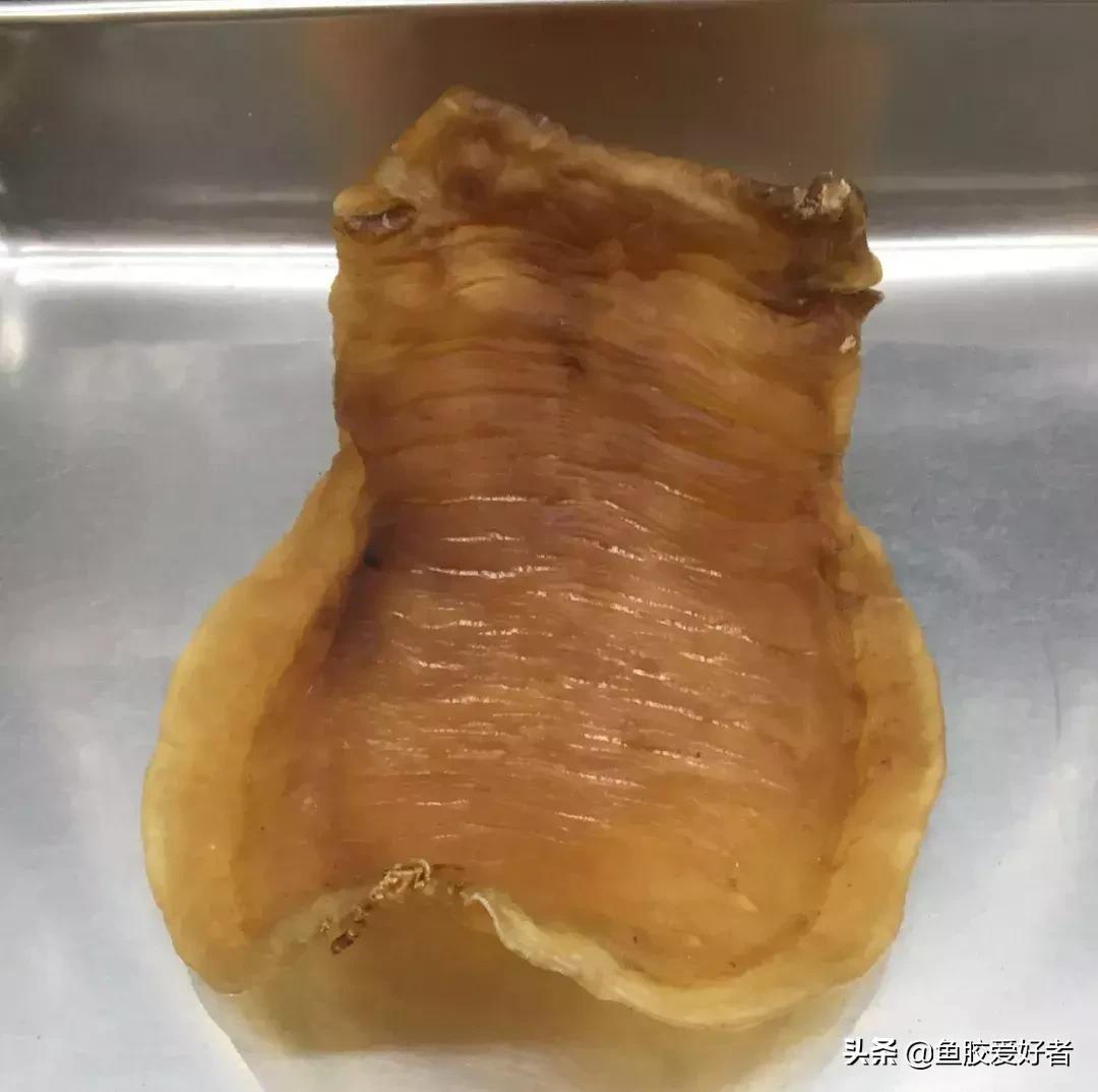 十大鱼胶排行,十大鱼胶品牌