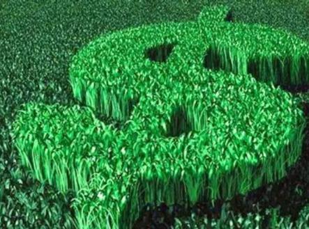 干小生意真的比打工挣钱吗,在农村做这4个小生意收入至少20万