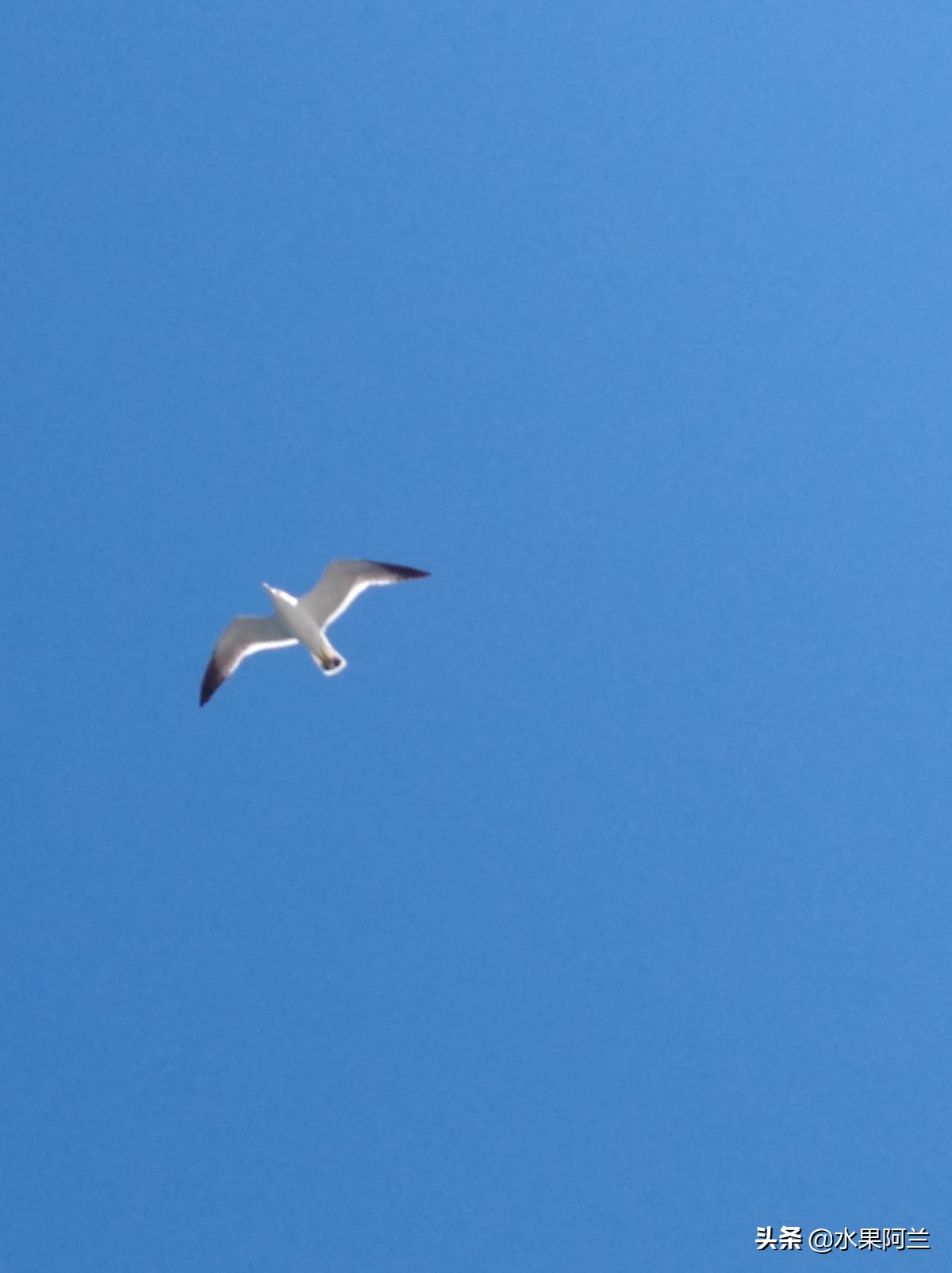 大连旅游团4天三晚,大连4天3晚跟团自由行