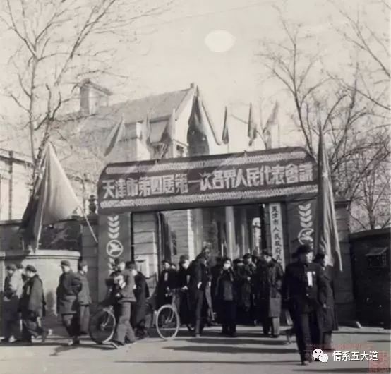 我的母校天津,我的母校20周年