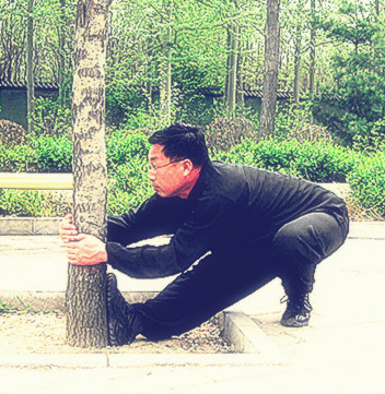 李复祯心意拳传人家谱,李复祯心意拳开膀秘法