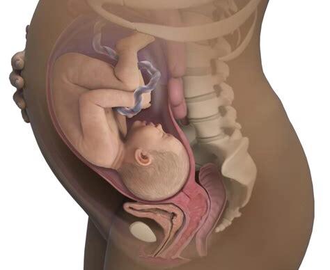 产检流程详细步骤,新手妈妈孕检全攻略