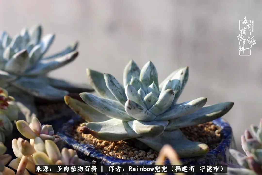 岁月无波澜余生不悲欢是啥意思,愿你岁月无波澜敬我余生无悲欢