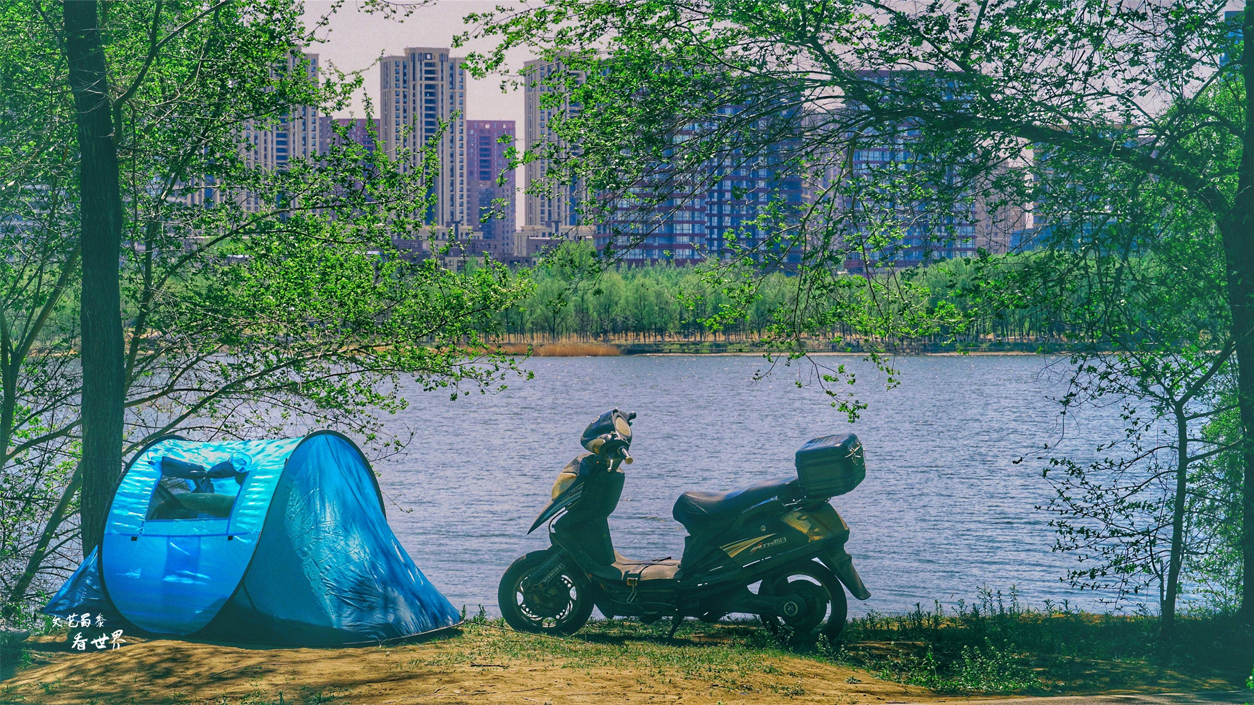 沈阳已被评为国家中心城了吗,沈阳被评为国家交通枢纽城市