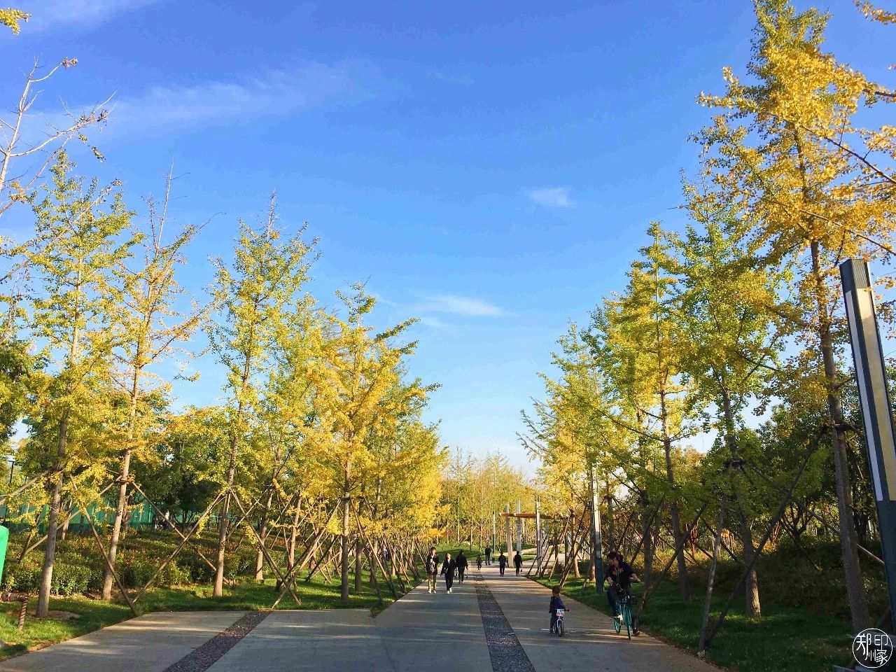 郑州地铁3号线转4号线,郑州地铁5号线景点适合3月打卡地