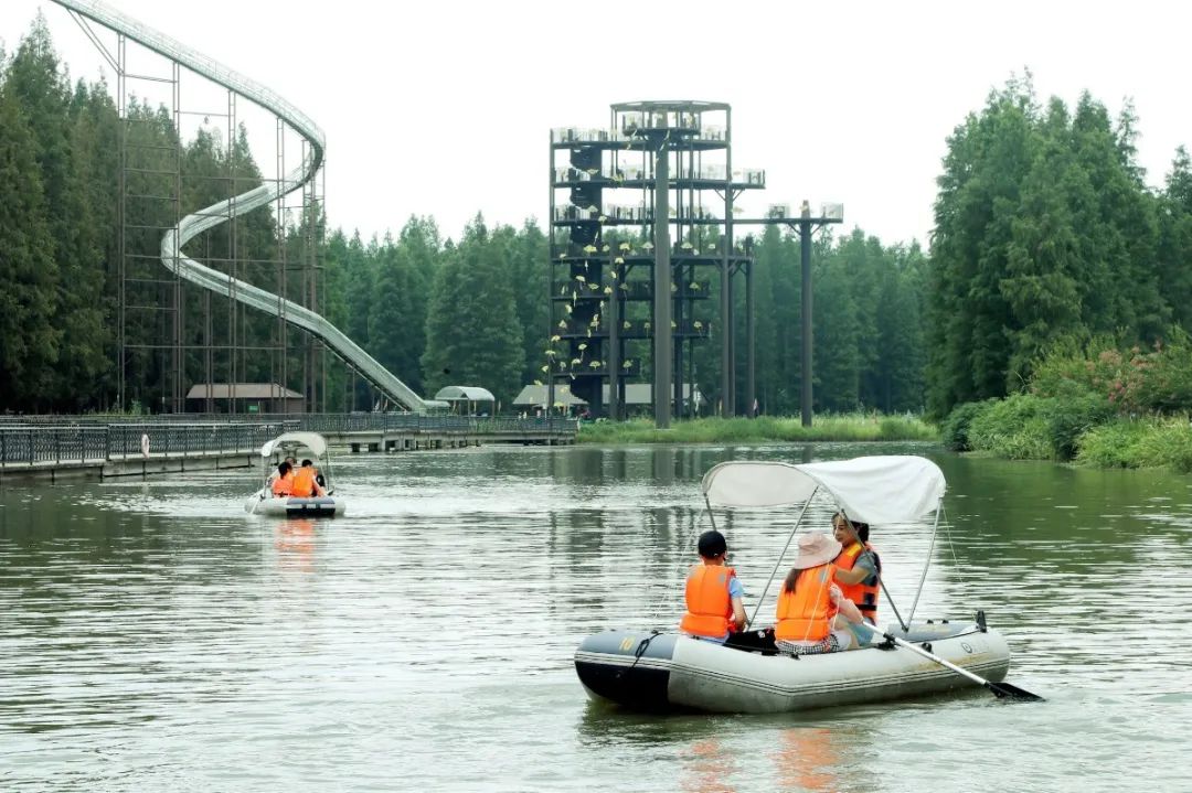 森氧之地，秋游必选！金湖万亩水上森林，真的别有趣味