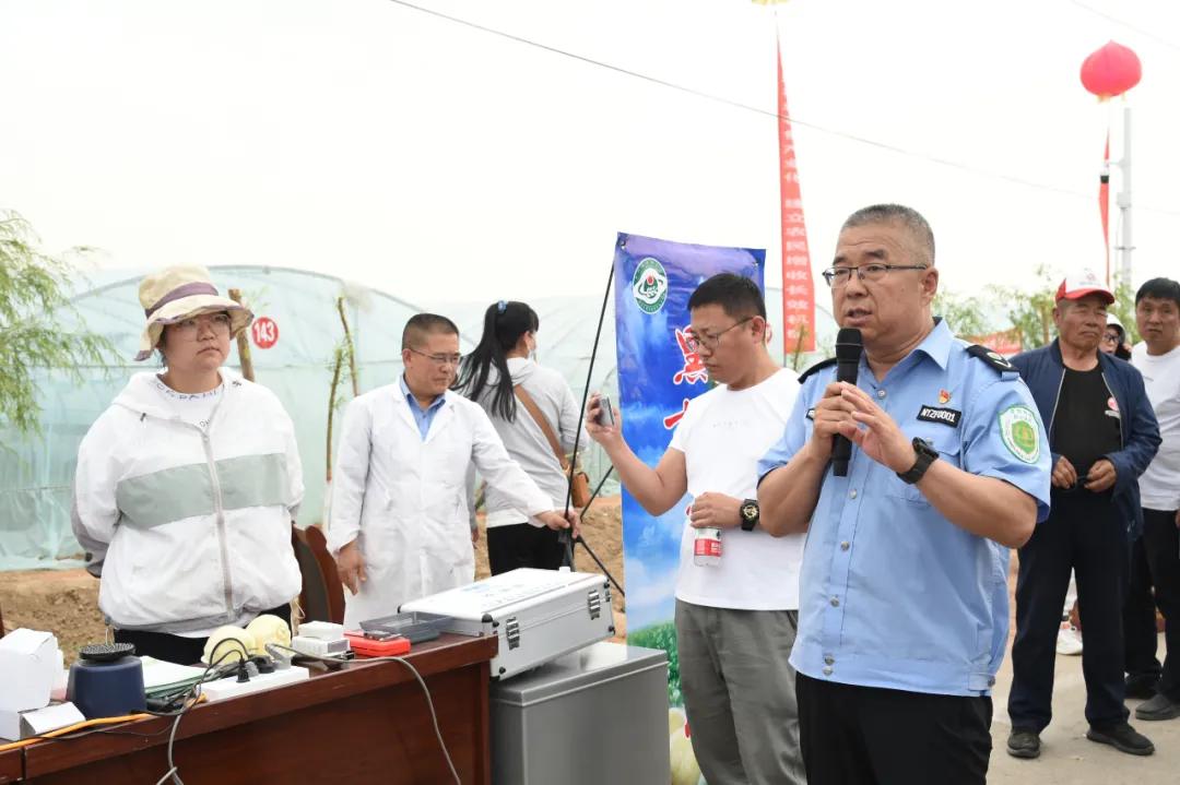 黑柳子白梨脆甜瓜直播,黑柳白梨脆