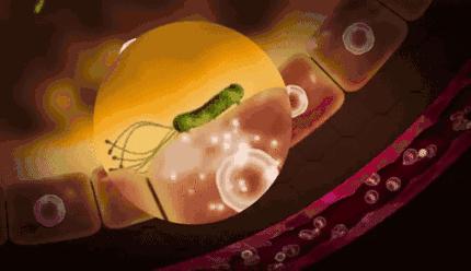 一口黄牙毁了一张脸视频,一口黄牙影响颜值