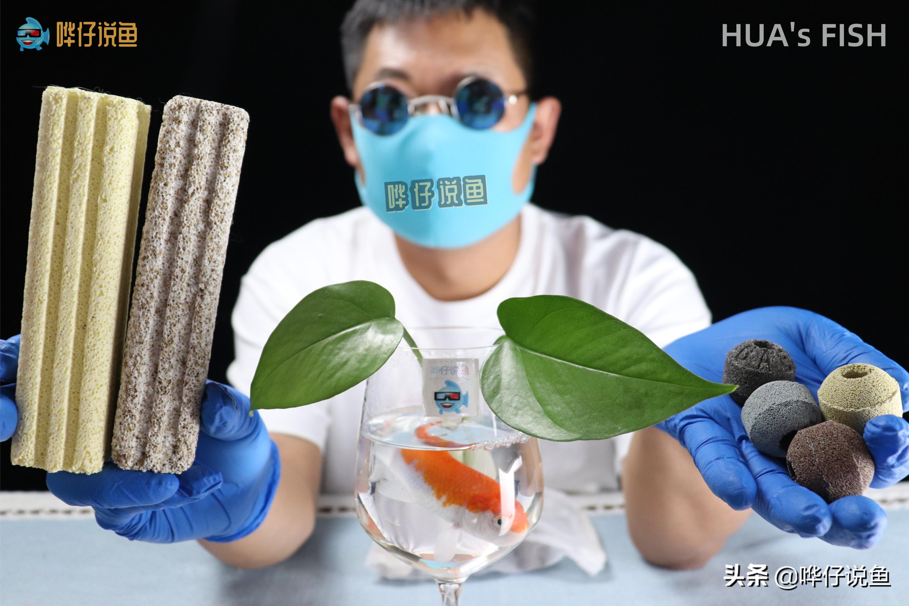 为什么都说硝化细菌是智商税,鱼缸过滤硝化细菌解释图