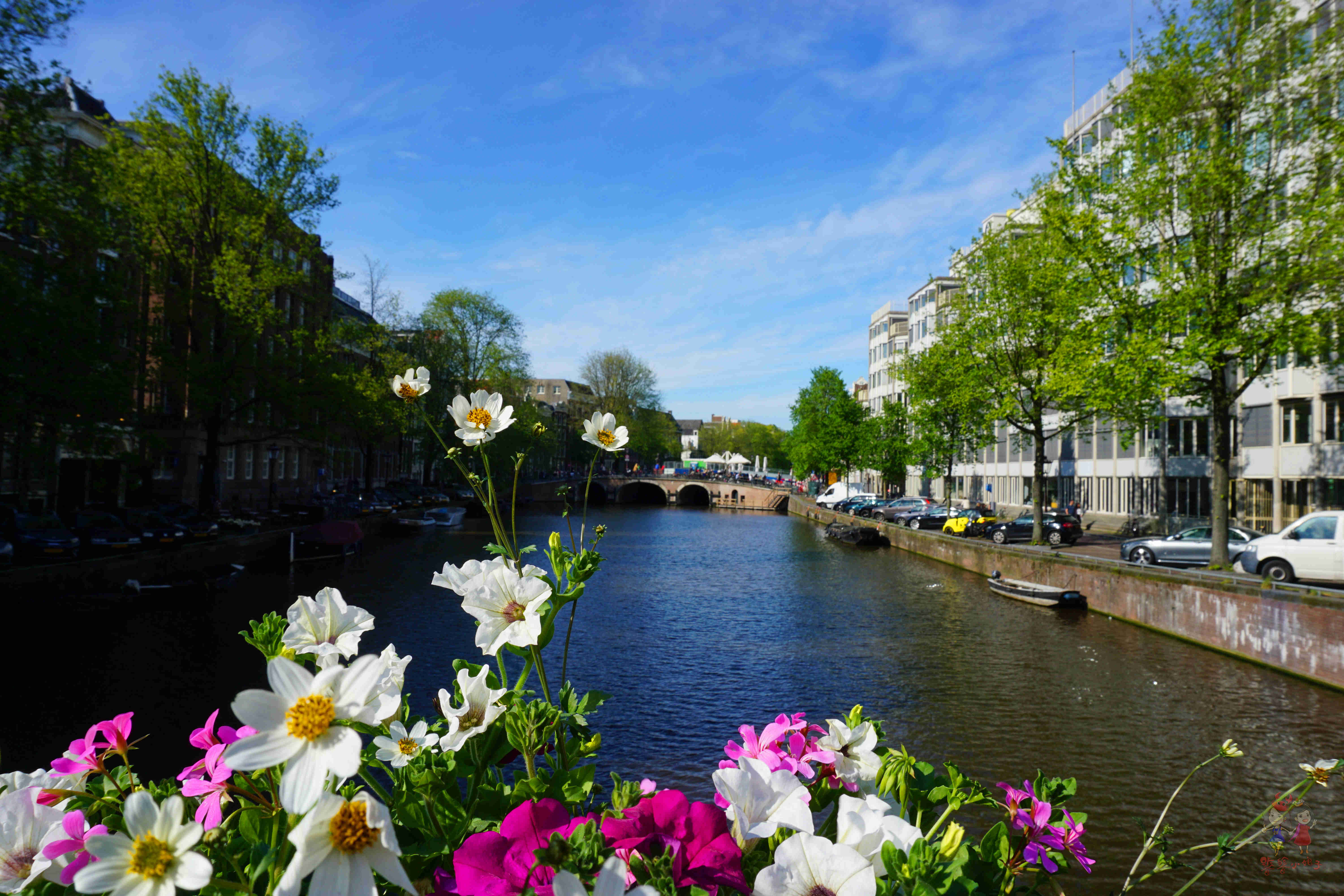 阿姆斯特丹暴走一日游,暴走阿姆斯特丹