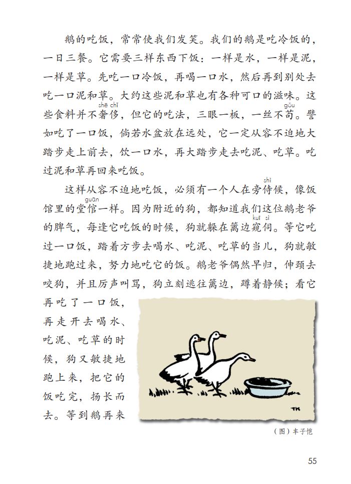 四年级下册语文15课白鹅课堂笔记,四年级下册语文15课白鹅练习答案