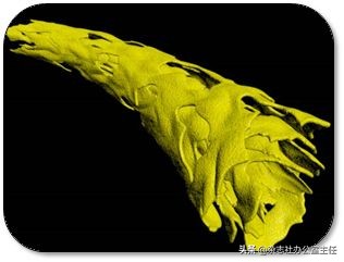 科研绘图流程模板,科研绘图教程