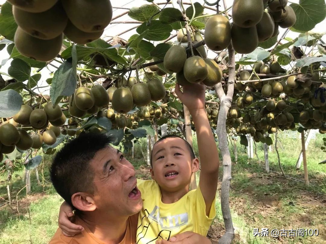 绍兴诗意民宿酒店式公寓,绍兴诗意