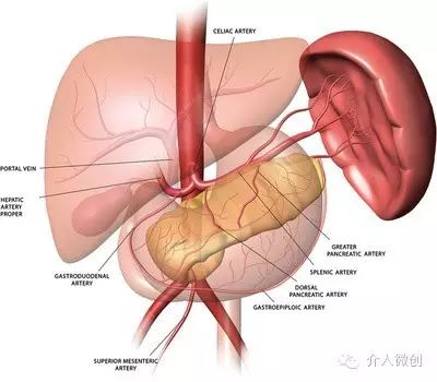 脾功能亢进导致血小板减少怎么办?