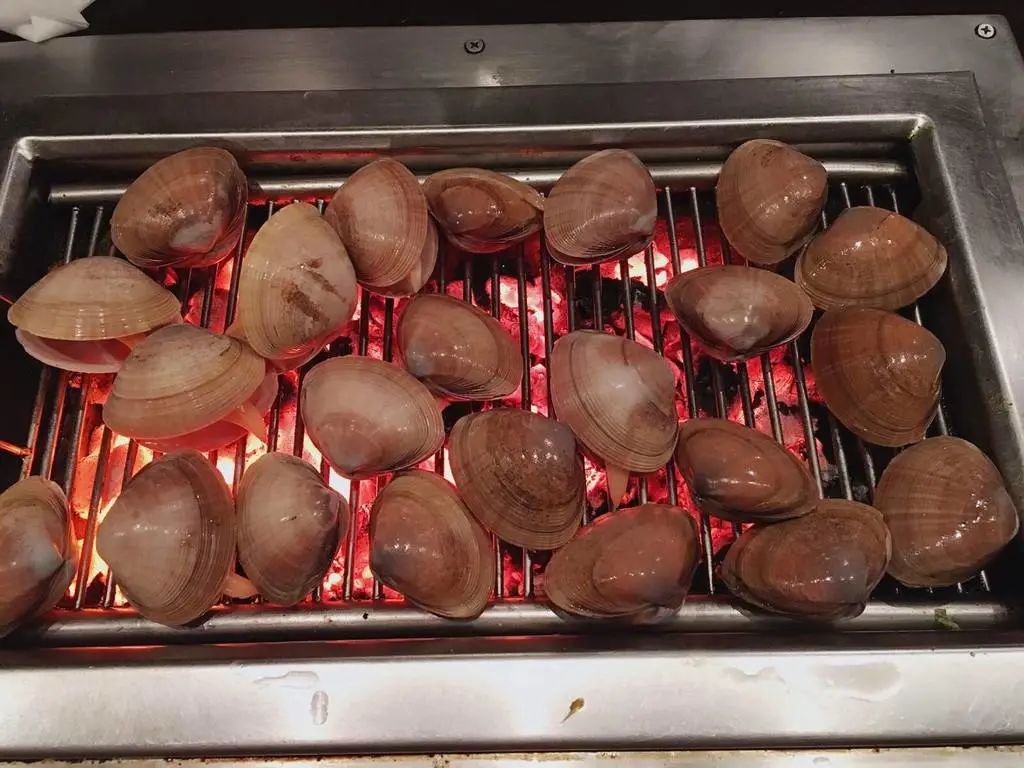 蛤蜊蚶子蛏子区别,蛏子海螺牡蛎蛤蜊