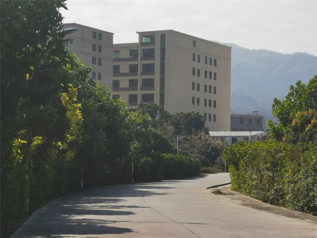 原平乡村振兴督导组,乡村振兴局开展乡村振兴工作督导