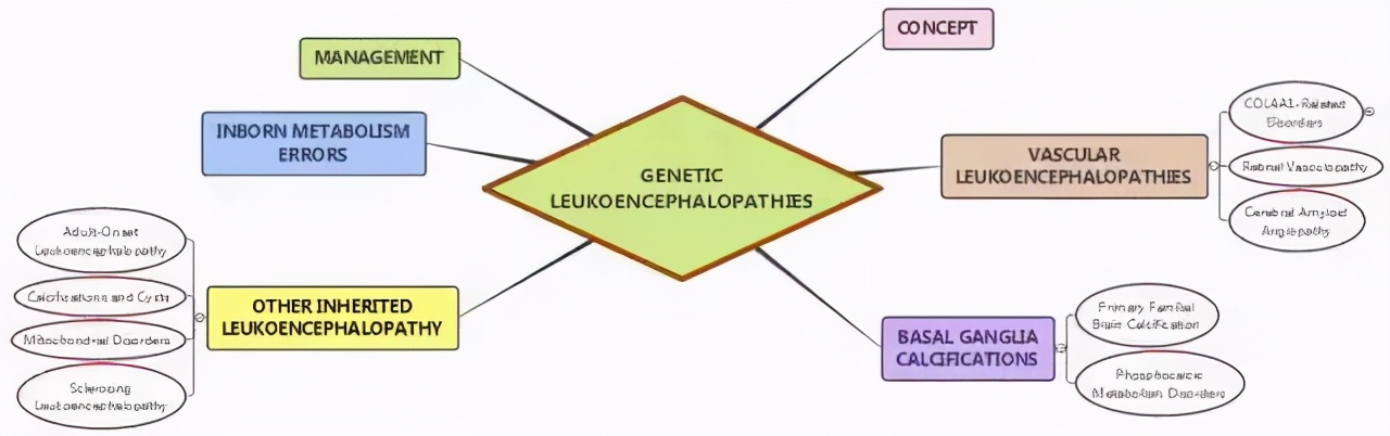 自绘路线图如何制作,绘制路线图的简单方法