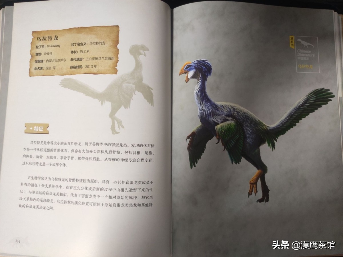 走进恐龙博物馆,恐龙博物馆大探秘