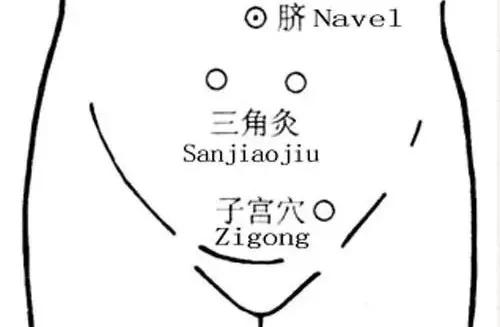 神奇的人体三角区，养好了，百病难扰