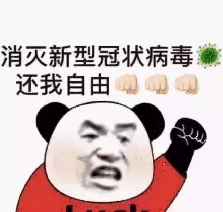 复工出行——公铁空水客运恢复运营信息全线刷新！点击收藏～